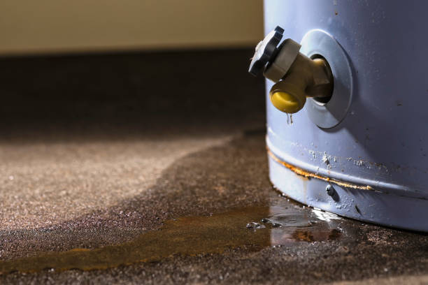 Best Water damage restoration near me  in Winnsboro, TX