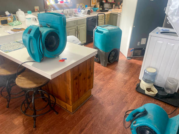 Best Emergency water damage restoration  in Winnsboro, TX