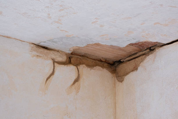 Best Water damage restoration specialists  in Winnsboro, TX