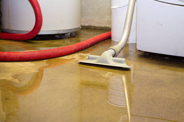 Best Flooded house restoration  in Winnsboro, TX