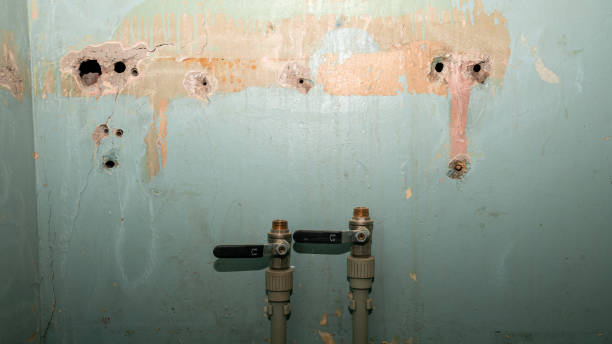 Best Water damage restoration mold remediation  in Winnsboro, TX